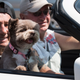 Illustration for article titled Woodward Dream Cruise Photo Explosion, Part 2